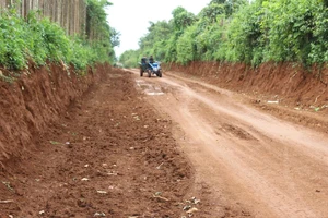 Công an Đắk Lắk xác minh người múc trộm hơn 2.000 m3 đất trên đường 