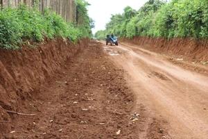 Người múc đất đường đang thi công ở Đắk Lắk nói gì?