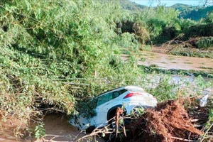 Ô tô bị lũ cuốn trôi, 2 người đàn ông bám bụi tre kêu cứu