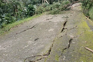 Vết nứt trên đồi đe dọa sạt lở Quốc lộ 27