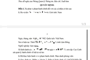 Xử phạt 2 người đàn ông mạo danh phóng viên