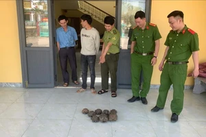 Phát hiện cả đàn rùa ven đường, người dân giao cho công an