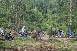 Vụ máy bay rơi ở Đắk Lắk: Sức khỏe phi công ra sao?