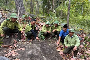 Phát hiện bãi đá có nhiều họa tiết lạ trong Vườn quốc gia Yok Đôn