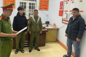 Khởi tố giám đốc sản xuất hàng trăm tấn lúa giống giả thương hiệu ST