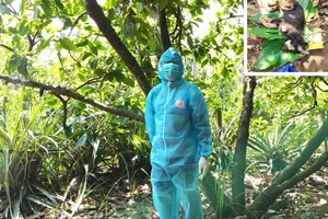 Một con chó nghi mắc bệnh dại cắn chủ nhà và 5 người khác