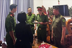 Khởi tố nữ chủ hộ kinh doanh bị cáo buộc trốn thuế