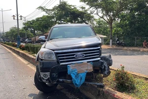 2 thanh niên không biết lái xe đi trộm ô tô rồi leo cây dừa để trốn