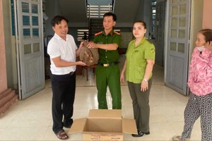 Bắt gặp tê tê khi đi soi ếch, người dân đem nộp công an