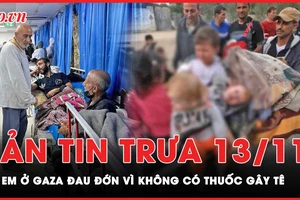 Bản tin trưa 13-11: Cập nhật tình hình trẻ em ở Dải Gaza