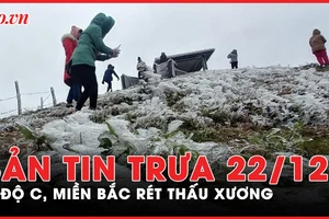 Bản tin trưa 22-12: Miền Bắc rét đỉnh điểm có nơi -2 độ C 
