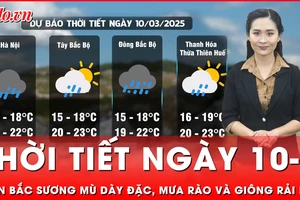 Dự báo thời tiết ngày 10-3: Miền Bắc sương mù dày đặc, xuất hiện mưa rào và dông rải rác trên vùng biển