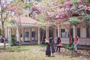 Đại học Cần thơ đẹp mê mẩn bên những hàng cây