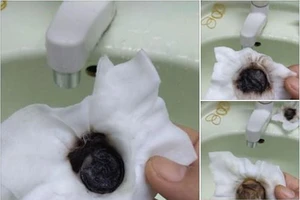 Ngưỡng giới hạn của Clo, sắt, chì trong nước sinh hoạt