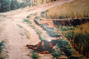 “Anh che đạn cho em” không điều chỉnh bằng lệnh hành chính