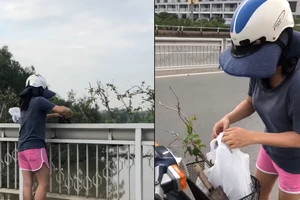 Camera ghi cảnh một phụ nữ trộm cây nơi công cộng