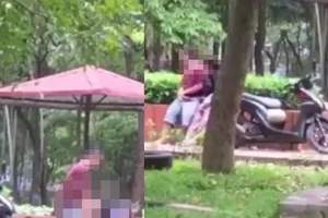 Cộng đồng mạng bức xúc vì cặp đôi 'mây mưa' trong công viên 