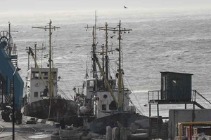 Tàu tại cảng Berdyansk của Ukraine trên Biển Azov. Ảnh: REUTERS
