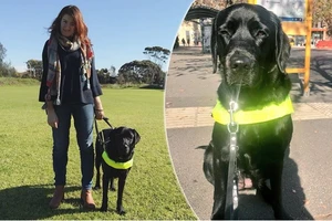 Nhà hàng Việt bị kiện vì từ chối nhận khách dẫn theo chó