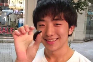 Quá cô đơn, trai trẻ hẹn hò và yêu… một con gián 