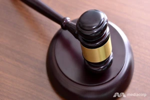 1 phụ nữ Việt bị khởi tố vì hối lộ cảnh sát Singapore