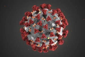 Nhật Bản tuyên bố cô lập thành công virus Corona