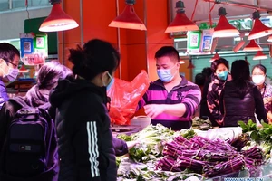 14% người xuất viện ở Quảng Đông dương tính lại với COVID-19