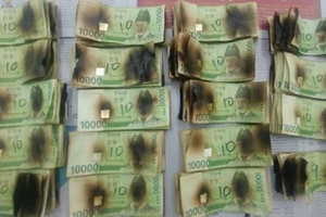 Lo COVID-19, người đàn ông Hàn Quốc bỏ tiền vào... lò vi sóng 