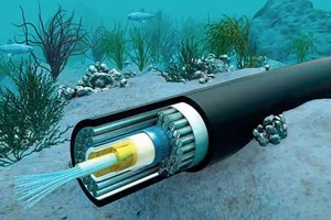 Mỹ, Đài Loan lo an ninh khi Trung Quốc đặt cáp quang biển