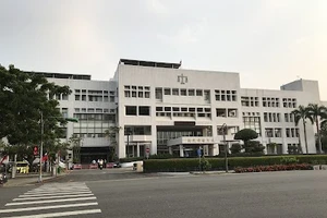 Đài Loan phạt tù 2 người Việt vì khai thác lậu gỗ quý 