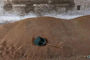 Liên Hợp Quốc lên tiếng việc Kiev cáo buộc Nga xuất khẩu ngũ cốc ‘đánh cắp’ của Ukraine