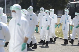 Nhật sắp hết chỗ chôn gà chết vì cúm gia cầm