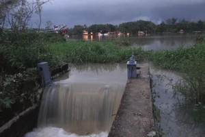 TP.HCM: Đê bao trăm tỉ không ngăn được triều cường