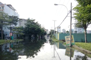 Vì sao hai cống ngăn triều ở quận 12 bị hỏng?