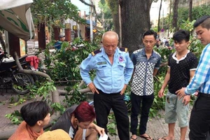 Bảo vệ bất tỉnh vì nhánh cây rơi khó ngờ