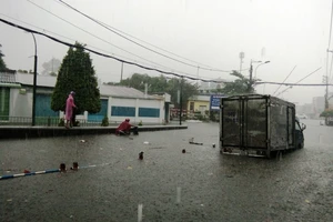 TP.HCM muốn lập Ban chỉ đạo quản lý nước, chống ngập