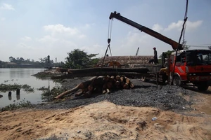 Sạt lở lớn ở điểm kinh doanh cát, sát sông Sài Gòn