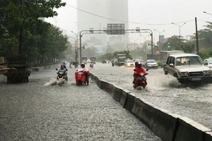 Thuê tư vấn đánh giá hiệu quả máy bơm 'khủng'