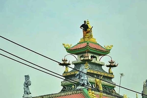  TP.HCM muốn bảo hiểm y tế chi trả việc cai ma túy