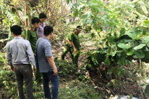 Nước thải lạ chảy ngầm ra suối Nhum, Sài Gòn