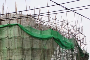 Hai tháng mới tháo xong nắp thủy đài nấm khổng lồ