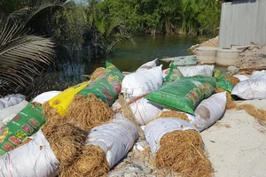 Cảnh sát giám định đống chất thải giống hệt như rơm