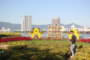 Rộn ràng đường hoa xuân Đà Nẵng