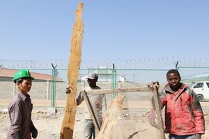 Lao động Việt Nam ở Angola đang đối diện với dịch bệnh