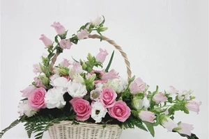 Ban Tuyên giáo Trung ương không nhận hoa ngày của ngành