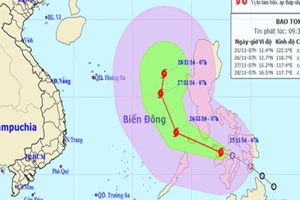 Không cấp phép cho tàu rời cảng đi vào vùng bão