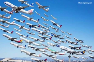 Cục Hàng không nói về dự án đuổi chim 1.000 tỉ đồng