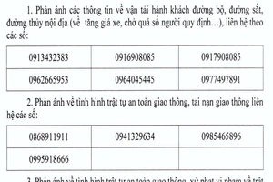Công bố đường dây nóng phản ánh về tăng giá vé dịp lễ
