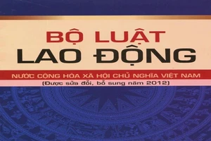 Hoãn trình việc sửa đổi, bổ sung Bộ luật Lao động