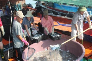 Gần 18.000 lao động xuất ngoại sau sự cố Formosa